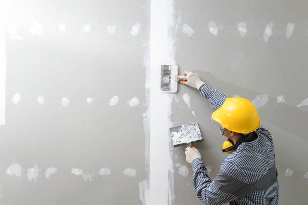Best Crawl Space Mold Remediation  in Stayton, OR